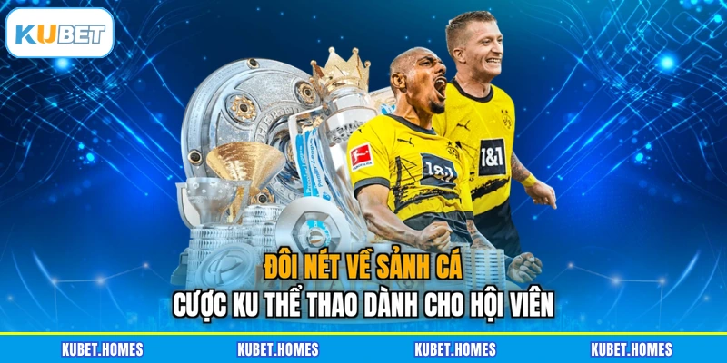Đôi nét về sảnh cá cược KU thể thao dành cho hội viên