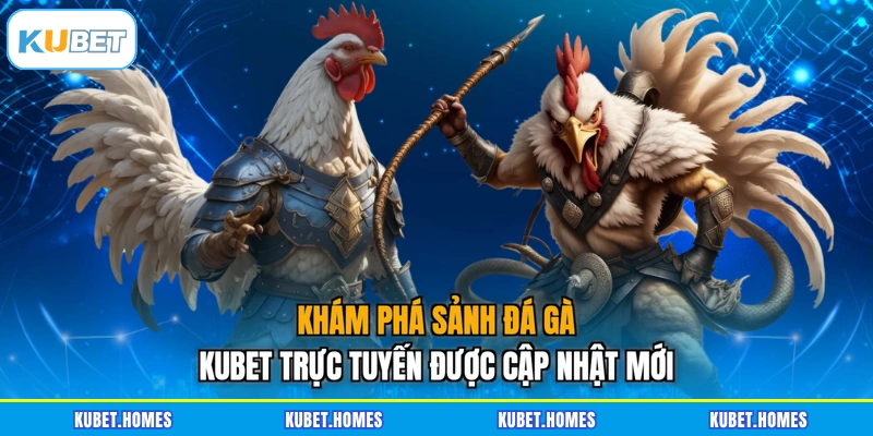 Khám phá sảnh đá gà KUBET trực tuyến được cập nhật mới