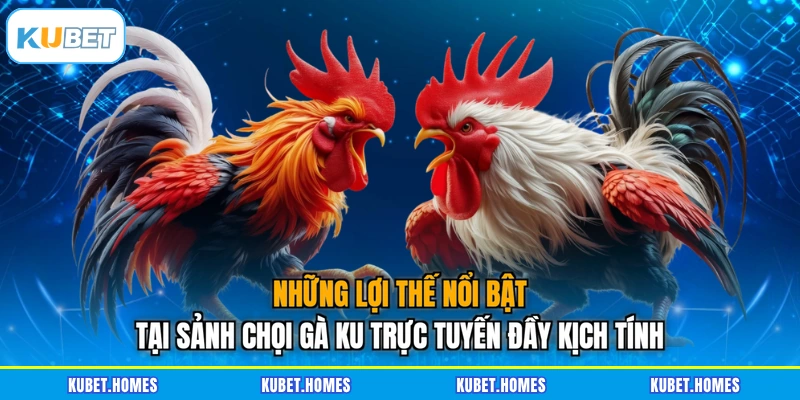 Những lợi thế nổi bật tại sảnh chọi gà KU trực tuyến đầy kịch tính